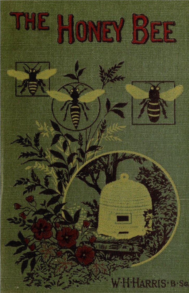 The honey-bee: its nature, homes and products
